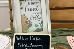 Taylor and Jeremy's Baby Shower