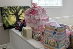 Taylor and Jeremy's Baby Shower