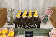 Taylor and Jeremy's Baby Shower